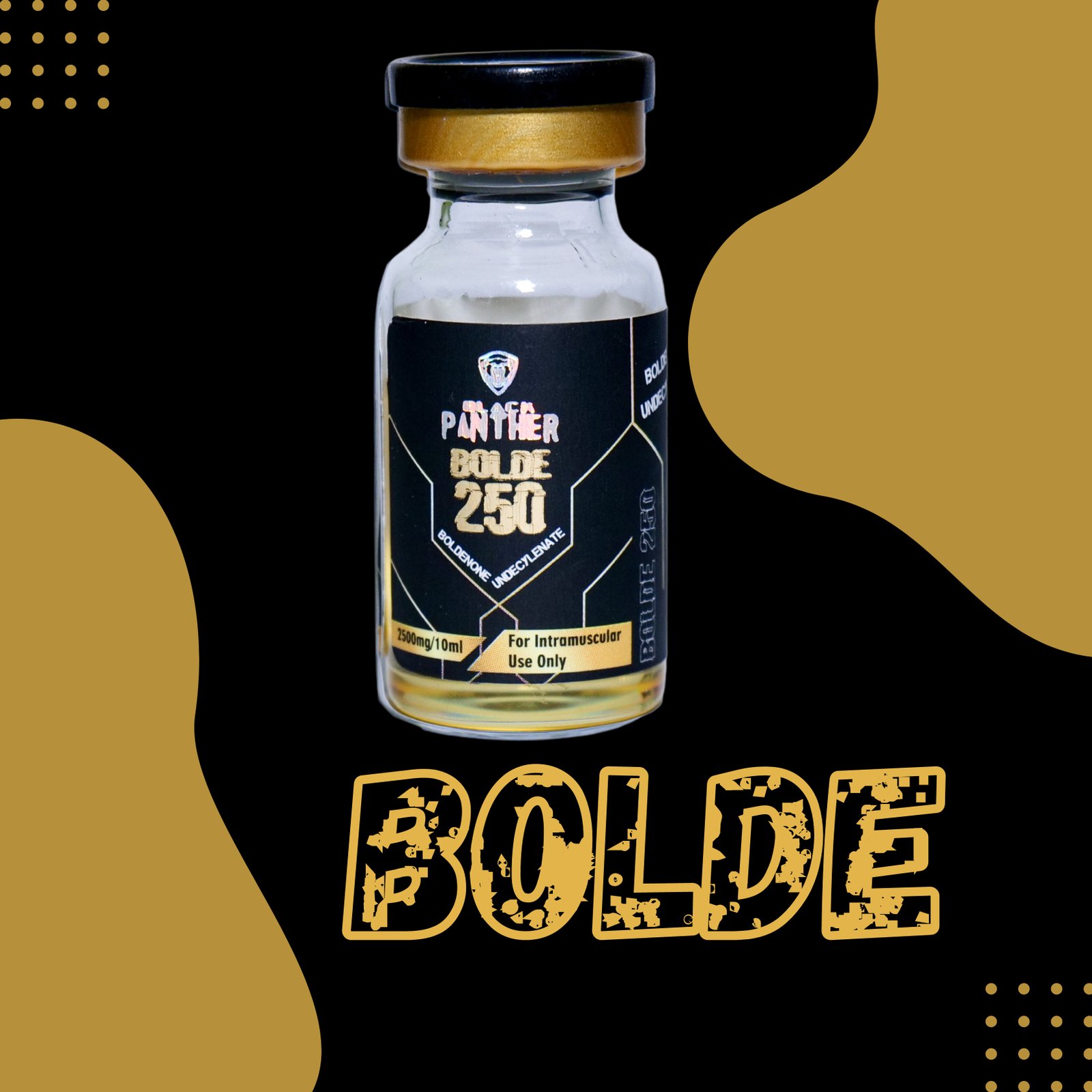 bolde-250